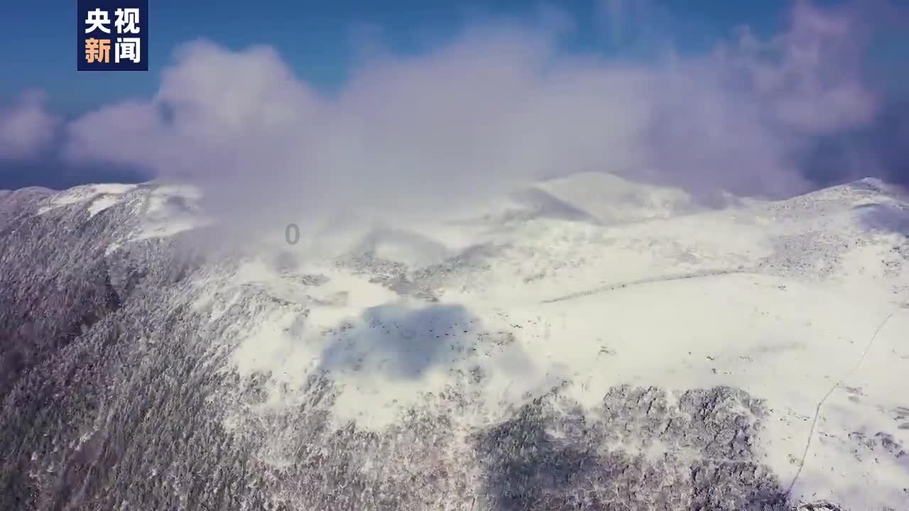 为啥考C1驾照的人越来越少?驾校教练说出真相,谁考谁是冤大头