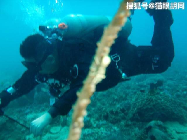 空洞骑士